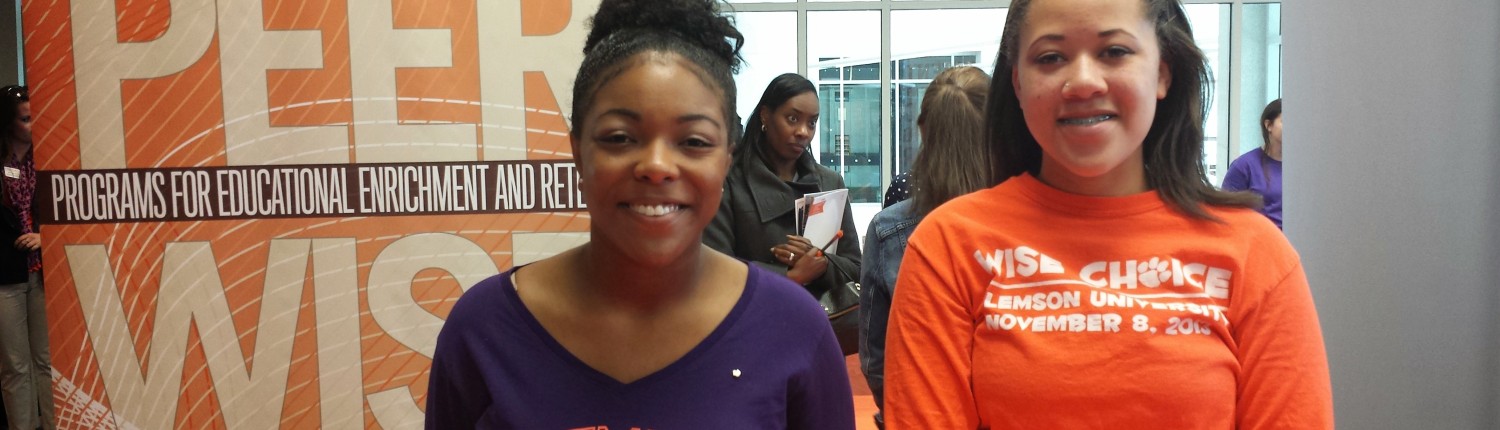 Female members of the Clemson Black Alumni Council at a women's event
