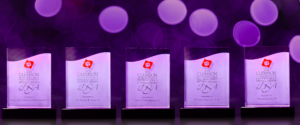 a group of DSA awards