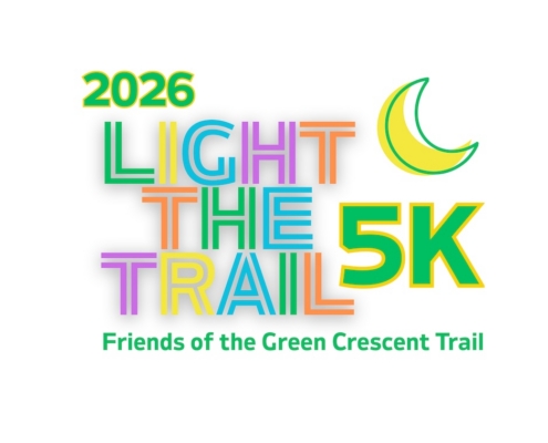 logo for Light the Night